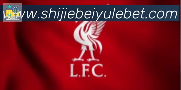FIFA世界杯买球入口合作伙伴